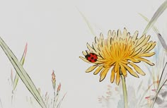 a ladybug sitting on top of a yellow flower next to tall green grass