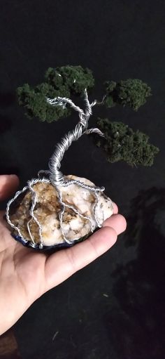 a hand holding a rock with a tree growing out of it