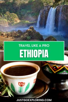 Discover Ethiopia’s incredible diversity with insider tips to explore its landscapes and cultural wonders. From the highlands to vibrant festivals, Ethiopia offers unforgettable experiences for curious travellers. Start your Ethiopian journey with these top tips. Ethiopia Travel, Tropical Forests, Tropical Forest, Ancient Cities, Hidden Treasures, Unesco World Heritage Site, Unesco World Heritage, Pilgrimage, Special Places