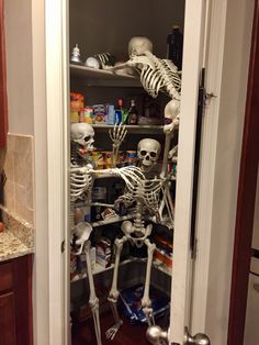 there is a closet full of skeletons in the kitchen