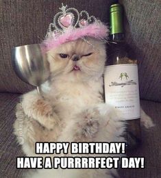 a cat wearing a tiara and holding a wine bottle