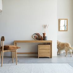 a dog standing next to a wooden desk in a room with white walls and flooring