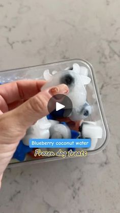 a person is holding a plastic container filled with blueberry coconut water and ice cubes