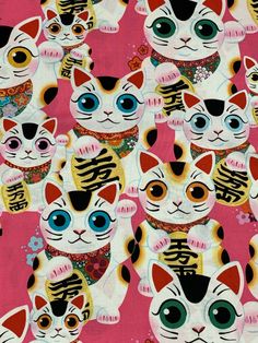 a group of cats with different colored eyes on a pink background that is very colorful