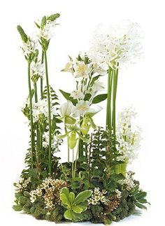 an arrangement of white flowers and greenery