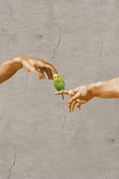 two hands reaching out towards each other with a green piece of fruit in their hand