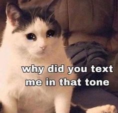 a black and white cat sitting on top of a couch with the caption, why did you text me in that tone?