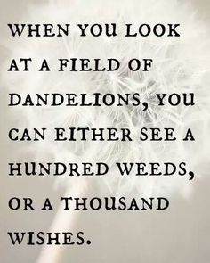 a dandelion with the words when you look at a field of dandelions, you can either see a hundred weeds or a thousand wishes