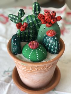 a potted plant with rocks in it and ladybugs on the top one