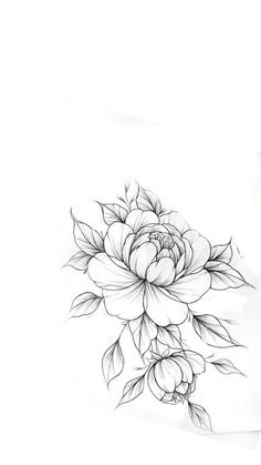 a black and white drawing of a flower