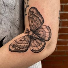 a black and white butterfly tattoo on the right arm, it looks like an insect