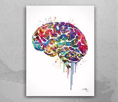 a watercolor painting of a brain with paint splatters on it