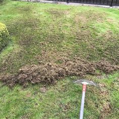 a lawn that has been mowed down with a rake