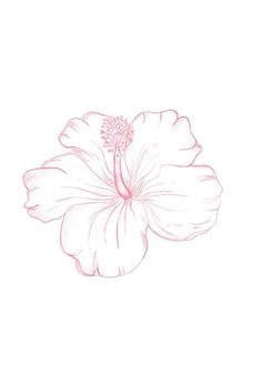 a drawing of a pink flower on a white background with the words, i love you