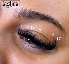 Lashes Extensions With Numbers, Cat Eye Mapping Eyelash Extensions, Cat Eye Lash Extensions Map, Lash Sets With Mapping, Mega Volume Lash Extensions Mapping, Short Full Lash Extensions, Cateye Eyelashes Extensions, Volume Cat Eye Lash Extensions, Cat Eye Lash Map