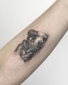 a black and white photo of a dog on the arm