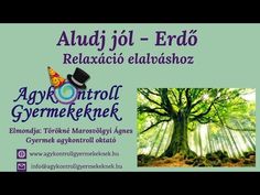 an advertisement for a yoga studio with a tree and the words, aludij jol