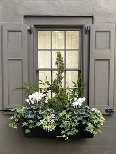 a window box filled with flowers and greenery