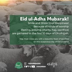 a herd of sheep with the words eid ul - adha mubarak