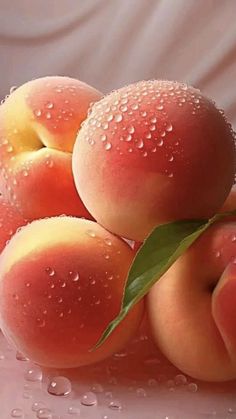 three peaches with water droplets on them