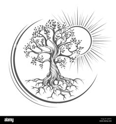 a tree with roots in the shape of a circle on a white background, black and white illustration