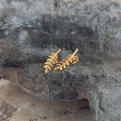 Gold Leaf Branch Stud Earrings Ficus Bonsai Tree, Chinese Elm Bonsai, Elm Bonsai, Flowering Bonsai Tree, Unique Stud Earrings, Jade Bonsai, Maple Bonsai, Indoor Bonsai Tree, Juniper Bonsai