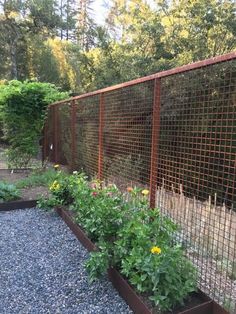 an outdoor garden area with various plants and flowers on the ground, along with a metal fence