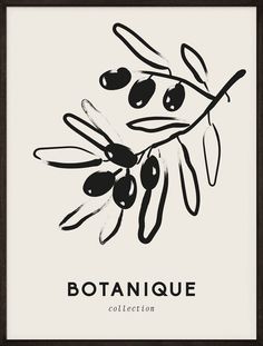 a black and white image of an olive branch with the words botanique on it