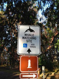 a sign that says whale watching site with an arrow pointing to the left and right