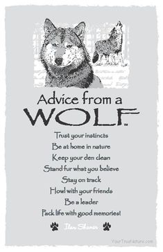 an animal poem with the words advice from a wolf