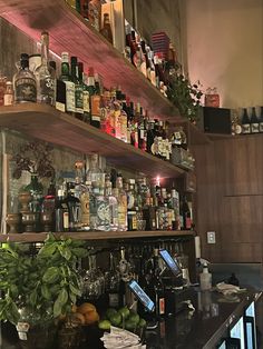 the bar has many bottles and glasses on it's shelves, along with plants