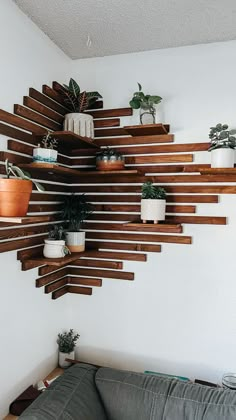 a living room filled with lots of potted plants on top of wooden shelving