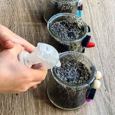 Germination Of Seeds Project, Chia Seed Plant, Seed Activities For Kids, From Seed To Plant Activities Preschool, Plant A Seed Activity For Kids, Easy Seeds To Grow With Kids, Plant A Seed Activity, Seed Crafts For Kids, Seeds Preschool