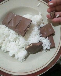 a plate with rice and chocolate on it