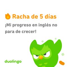 an angry green bird with the words racha de 5 dias written in spanish