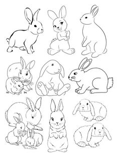 an image of rabbits coloring pages