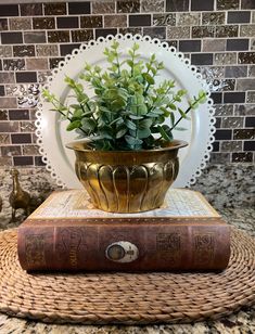 a plant is sitting on top of an old book in front of a tile wall