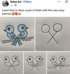 how to draw birds with different shapes and sizes