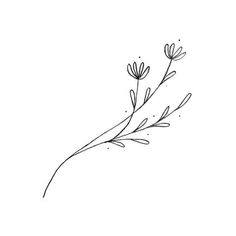 a line drawing of flowers on a white background