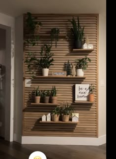 a wooden shelf with plants on it