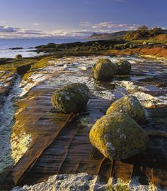 moss covered rocks are sitting on the shore