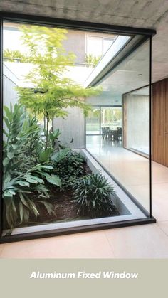 the inside of a house with glass walls and plants