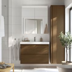 a bathroom with a sink, mirror and bathtub next to a plant in a vase