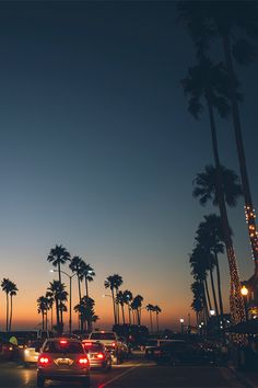 cars are driving down the street at night with palm trees in the foreground and lights on