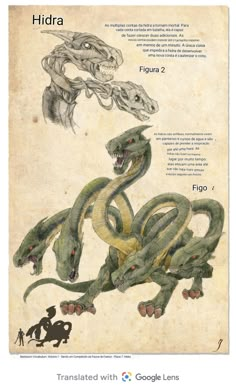 an old book with two snakes on it and the words hidra written in english