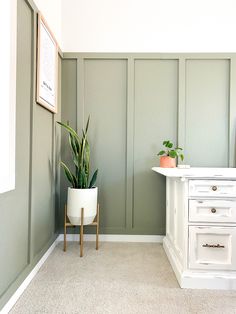 a plant in a white pot on a stand next to a wall with green paneling