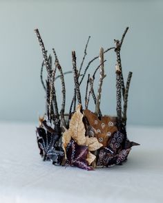 an arrangement of dried leaves and twigs on a white surface