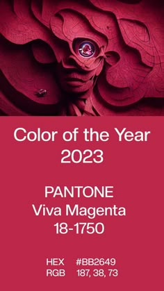 a poster for the color of the year 2013 with an image of a woman's face