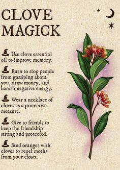 Witchcraft Spells, Magia Das Ervas, Magic Spell Book