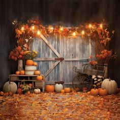 pumpkins and gourds are arranged in front of a wooden fence with lights